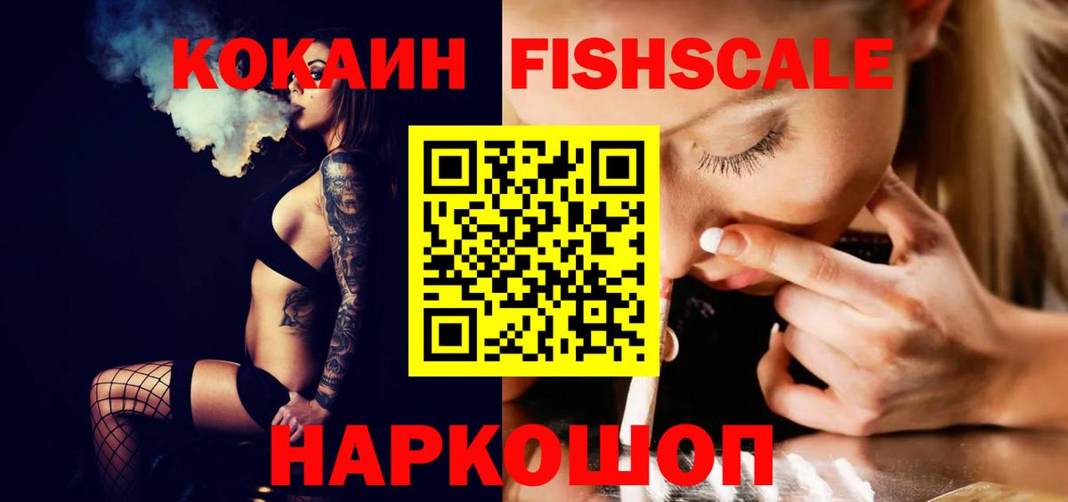 COCAIN Fish Scale  Cocaine  Прохладный  Вход с VPN  Cocaine Fish Scale 