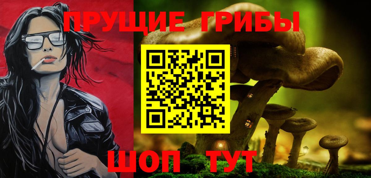 Прохладный  Псилоцибиновые грибы мухоморы  Вход с VPN 