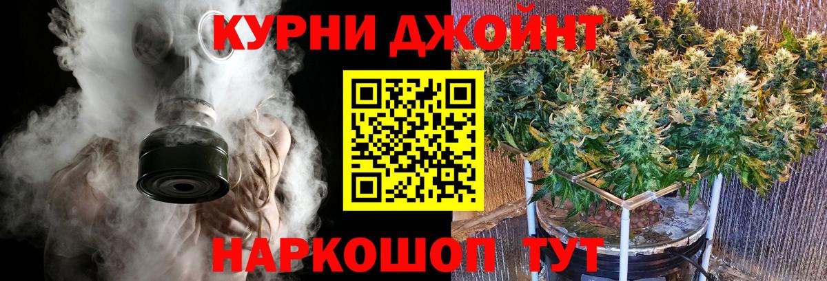 Канабис планчик  Вход с VPN  Прохладный  Канабис план  Бошки марихуана сатива 